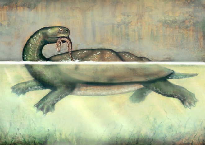 ./data/giant-paleocene-turtle.jpg